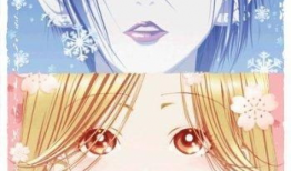 娜娜动漫,青春校园的甜蜜旋律