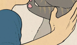 漫画舔腿,揭示人性与欲望的微妙交织