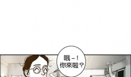 阶级漫画,揭示社会阶层差异的视觉寓言
