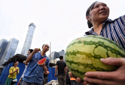 朝阳群众吃瓜网被封,揭秘网络社区被封背后的故事