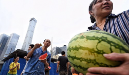 朝阳群众吃瓜网被封,揭秘网络社区被封背后的故事