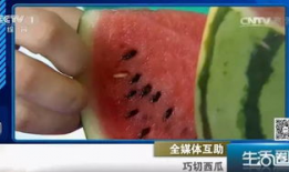 吃瓜网会不会,网络舆论场中的“瓜田”风云