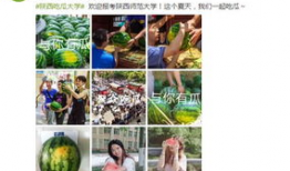 网曝吃瓜 大学,大学生群体成为“吃瓜群众”新势力